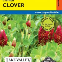 Crimson Clover - Item #4683