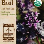 Basil Purple Dark Opal