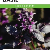 Basil Purple Dark Opal