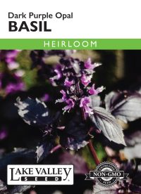Basil Purple Dark Opal