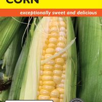 Corn Sweet Ambrosia