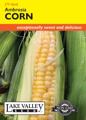 Corn Sweet Ambrosia
