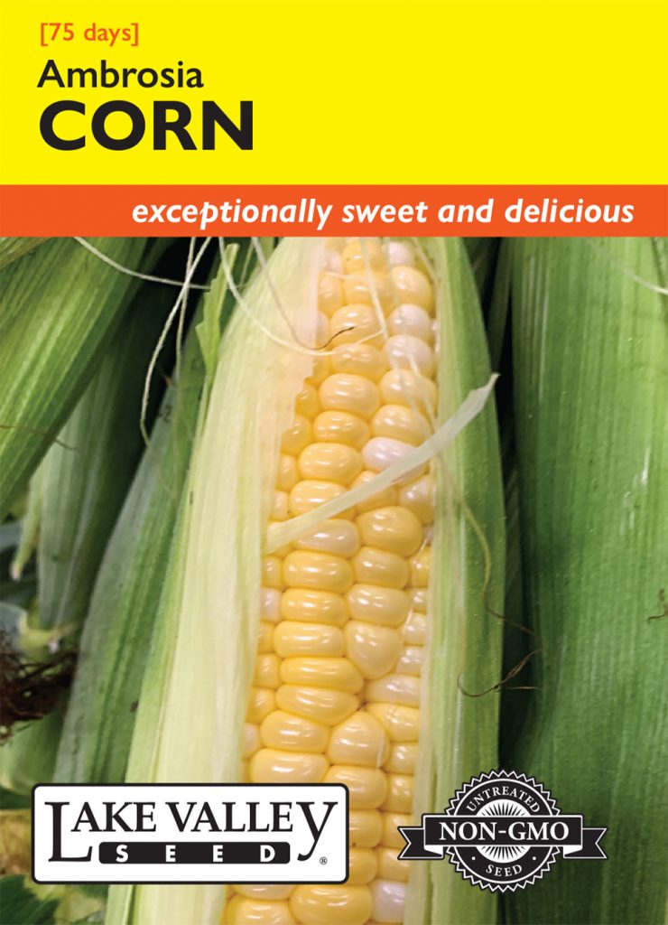 Corn Sweet Ambrosia - Item #4693 - Lake Valley Seed