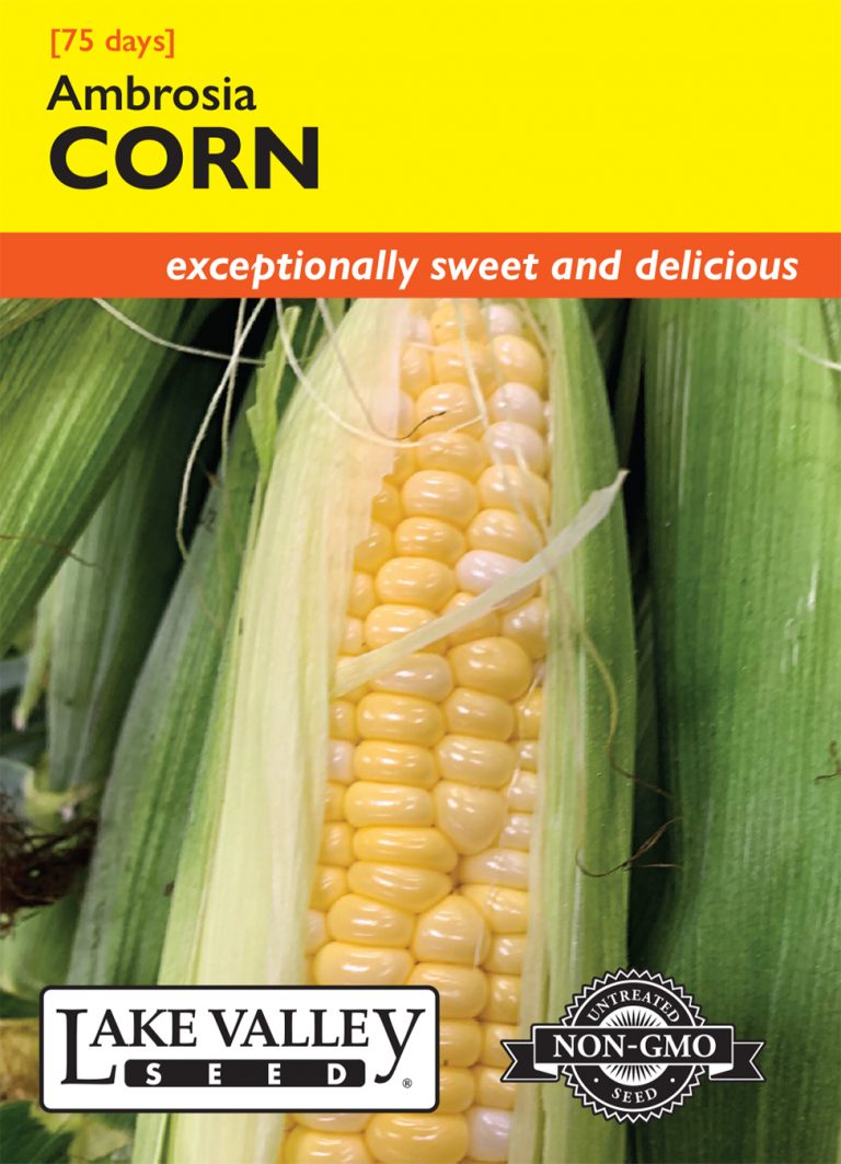 Corn Sweet Ambrosia Item 4693 Lake Valley Seed