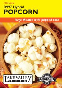 Corn Popcorn - Item #4694