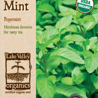 Organic Mint Peppermint
