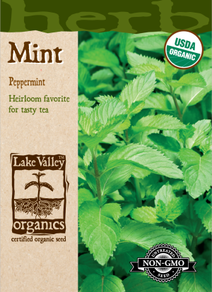 Organic Mint Peppermint