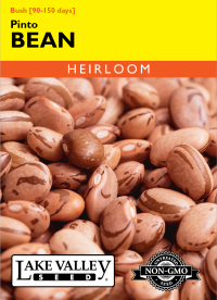 Bean (Bush) Pinto - Item #4670