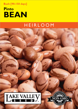 Bean (Bush) Pinto - Item #4670
