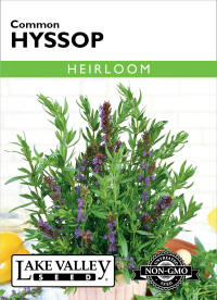 Hyssop Common Item #4686