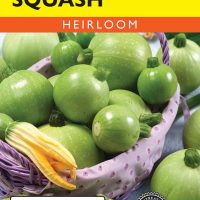 Squash (Summer) Ronde De Nice