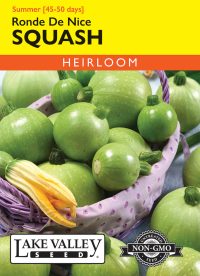 Squash (Summer) Ronde De Nice