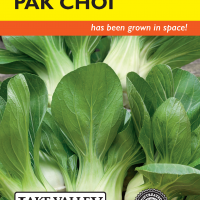 Pak Choi Extra Dwarf