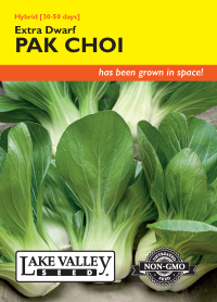 Pak Choi Extra Dwarf
