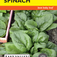 Spinach Seaside- Item #4720
