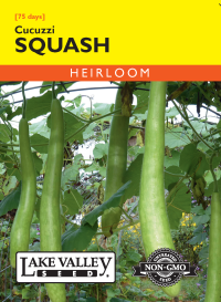 Squash (Summer) Cucuzzi- Item #4722