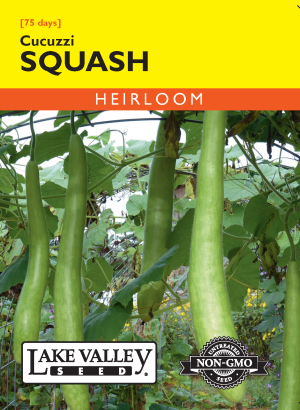 Squash (Summer) Cucuzzi- Item #4722