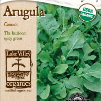 Arugula - Item #4724
