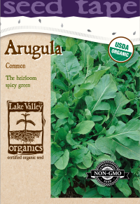 Arugula - Item #4724
