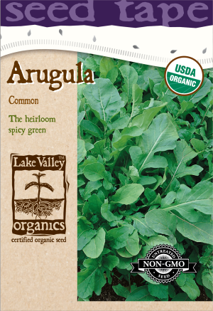 Arugula - Item #4724