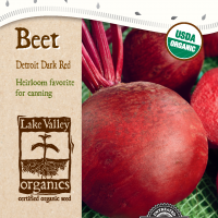 Beet Detroit Dark Red