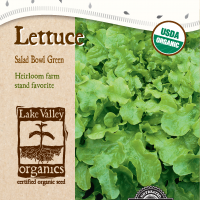 Lettuce Salad Bowl Green