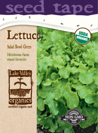 Lettuce Salad Bowl Green