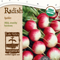 Radish Sparkler - Item #4728