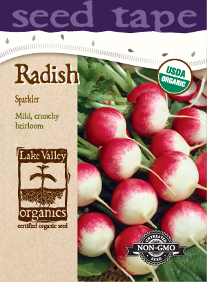 Radish Sparkler - Item #4728