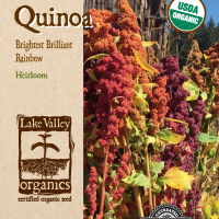 Quinoa Brightest Brilliant Rainbow