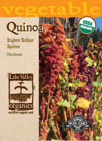 Quinoa Brightest Brilliant Rainbow
