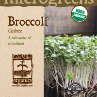Broccoli Calabrese - Item #4731