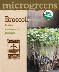 Broccoli Calabrese - Item #4731