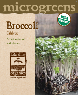 Broccoli Calabrese - Item #4731