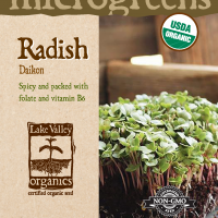 Radish Daikon - Item #4732