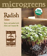 Radish Daikon - Item #4732