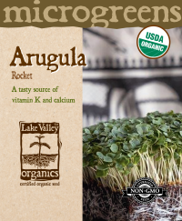 Arugula Rocket - Item #4734