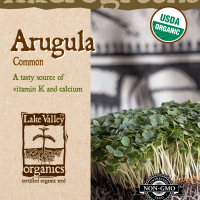 Organic Arugula Microgreens