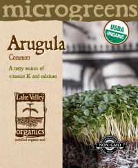 Organic Arugula Microgreens