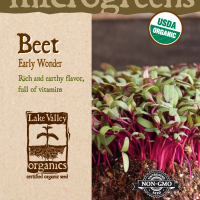 Beet Early Wonder - Item #4735