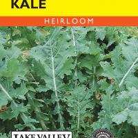 Kale White Russian