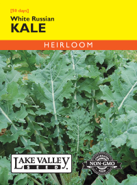 Kale White Russian