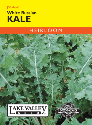 Kale White Russian