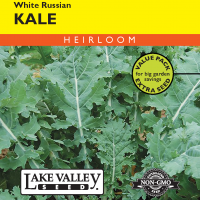 Kale White Russian