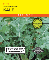 Kale White Russian