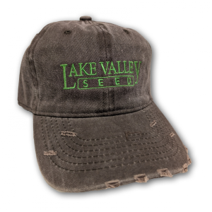 Coffee Distressed Cap