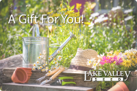 $25 Gift Card