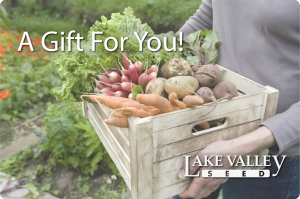 $50 Gift Card