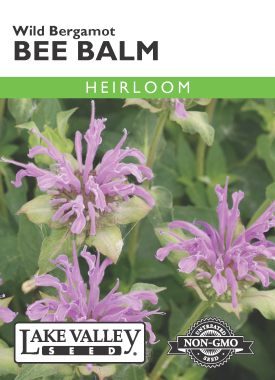 Bee Balm Wild Bergamot- Item #32339