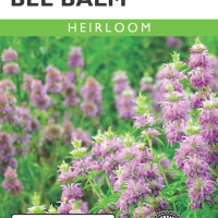 Bee Balm Lemon Bergamot- Item #32341